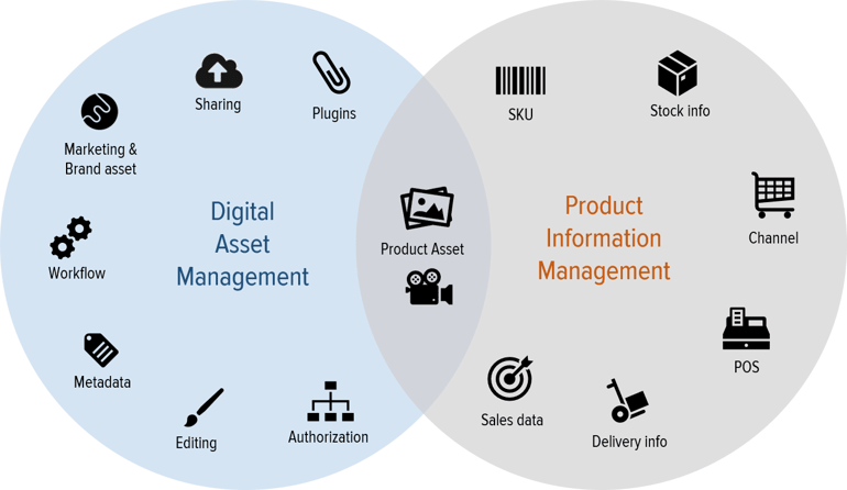 Дам digital. Dam система. Pim dam системы. Digital Asset Management dam System. Asset Management процессы.