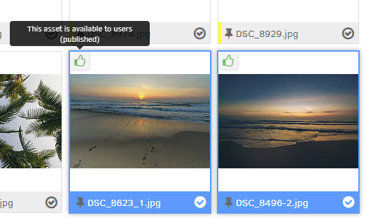 FW_DAM-Dictionary_A_Asset-Approval