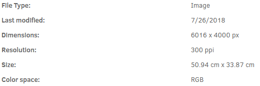 FW_DAM-Dictionary_C_Color-Space