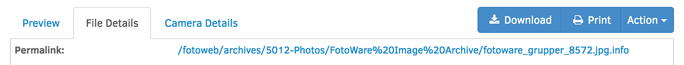 FW_DAM-Dictionary_P_Permalink