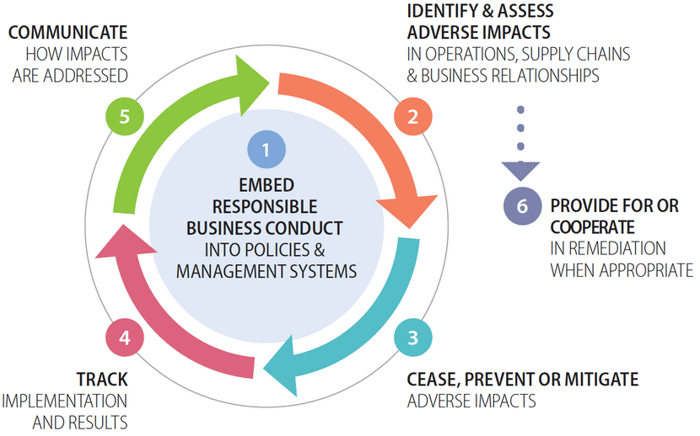 OECDs due diligence model