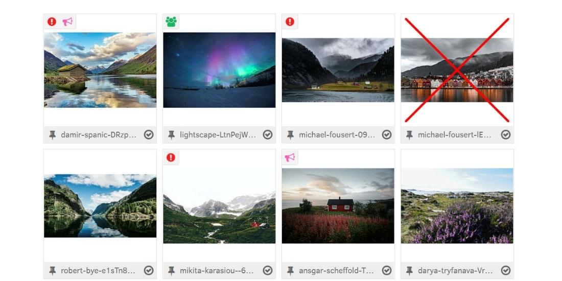 Screenshot of photos that are approved or not approved