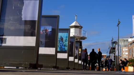 img-making-a-difference-Greenpeace