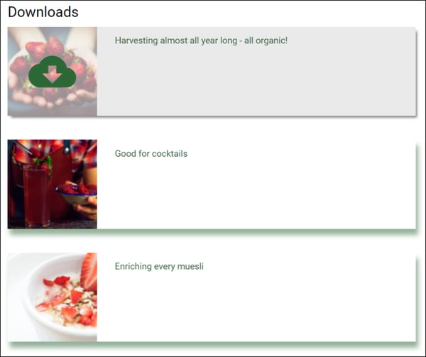 press-portal-downloads-2
