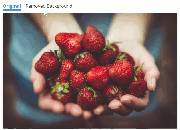 remove-bg-online-demo