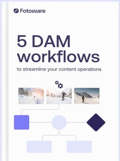 5-dam-workflows-ebook-cover