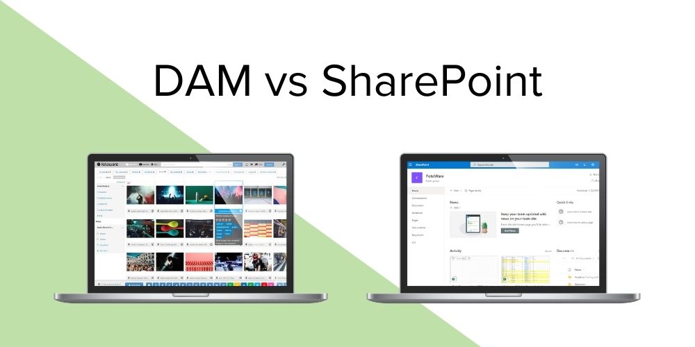 Digital Asset Management vs SharePoint - What's the difference?