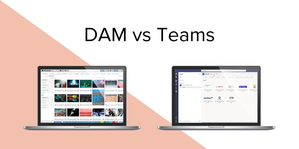 digital assets management software