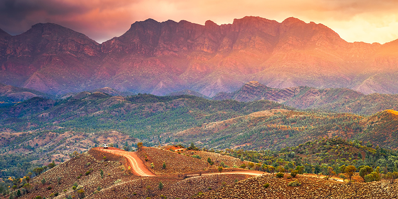 Working with DAM: South Australian Tourism Commission Experience