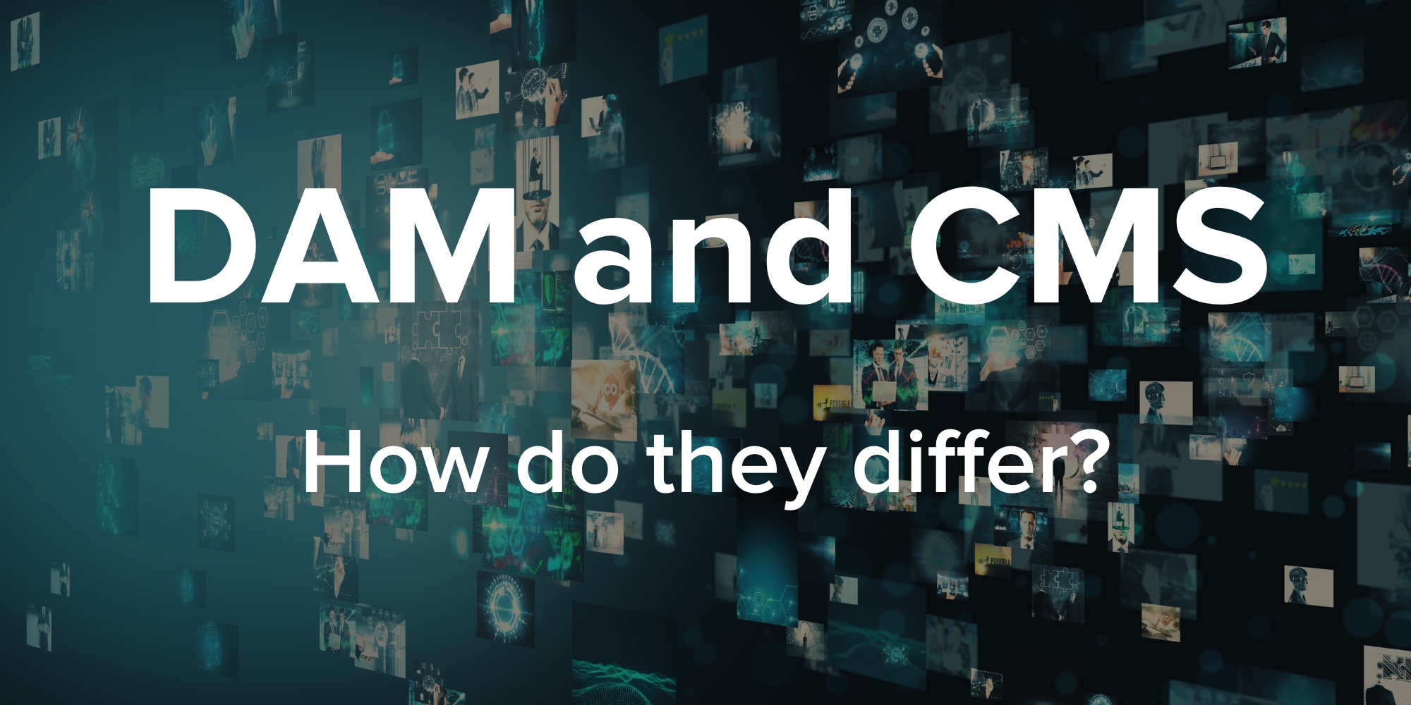 DAM and CMS - How do they differ?
