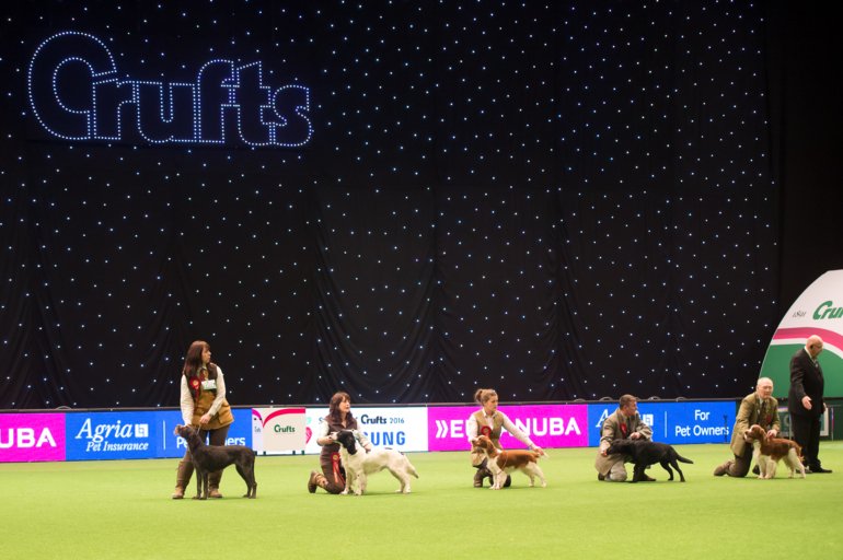 Crufts 2016, Yulia Titovets / The Kennel Club ©