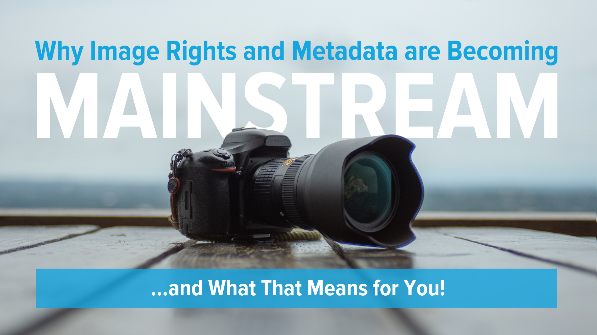 Why Image Rights and Metadata are Becoming Mainstream... and What That Means for You!