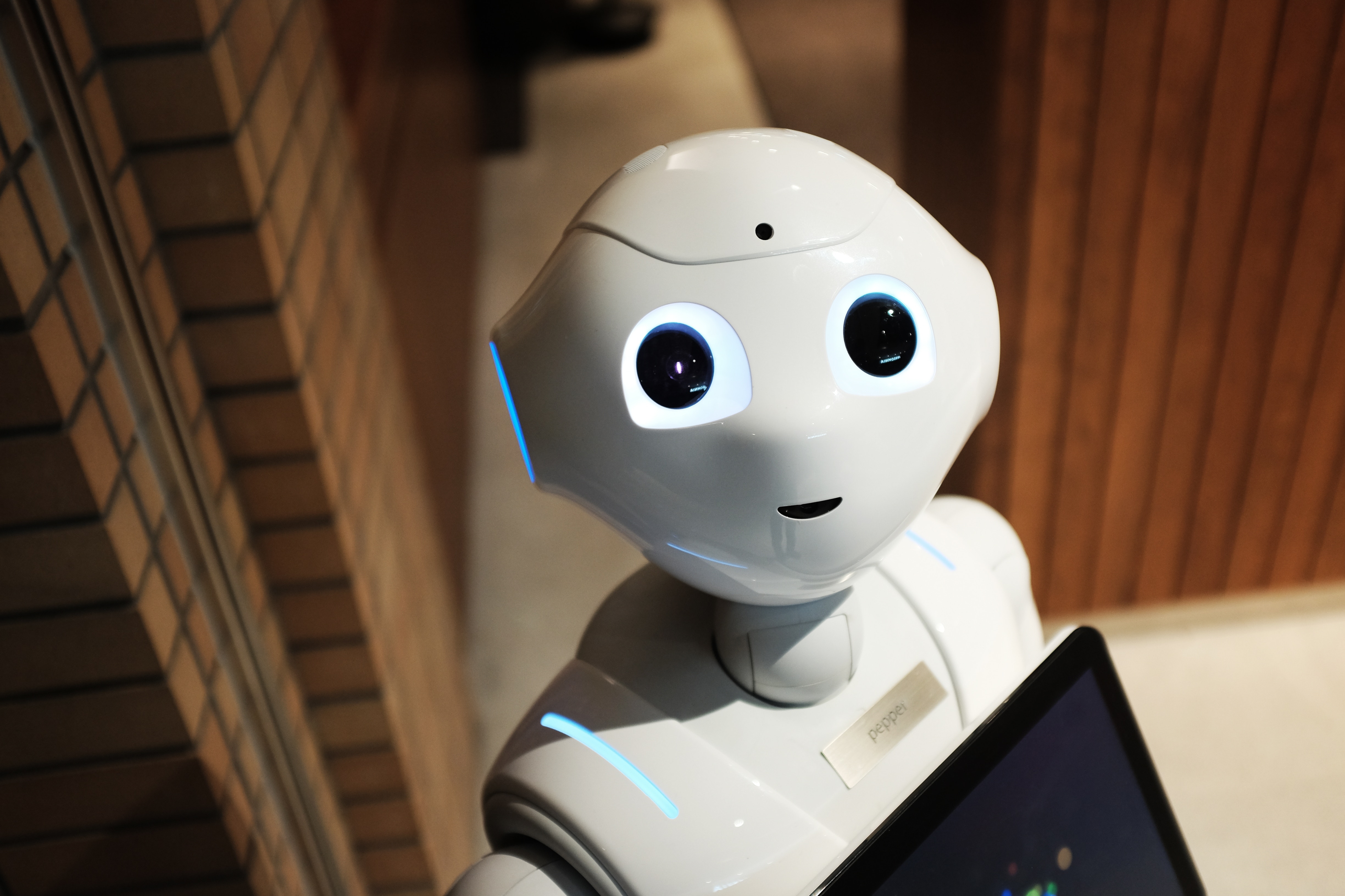 Unlocking the potential of AI with Image Recognition in Digital Asset Management