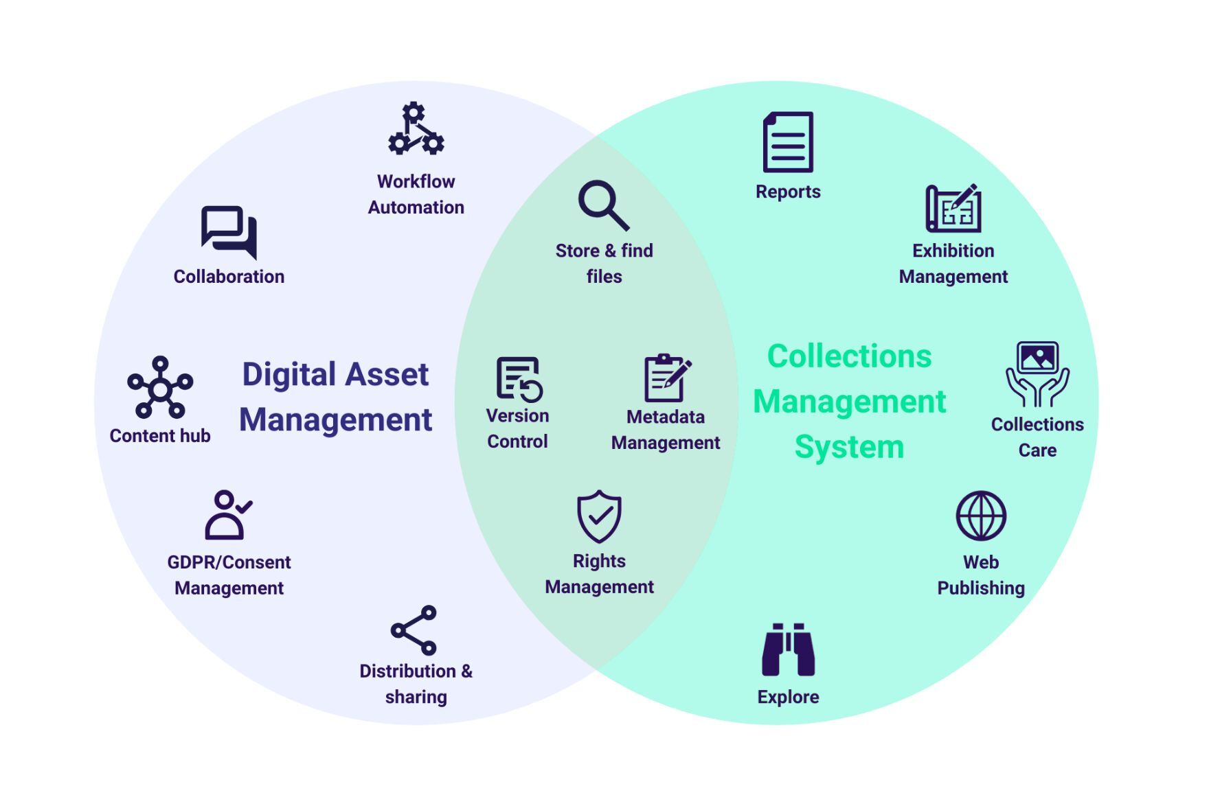 collection-management-system-DAM-comparison