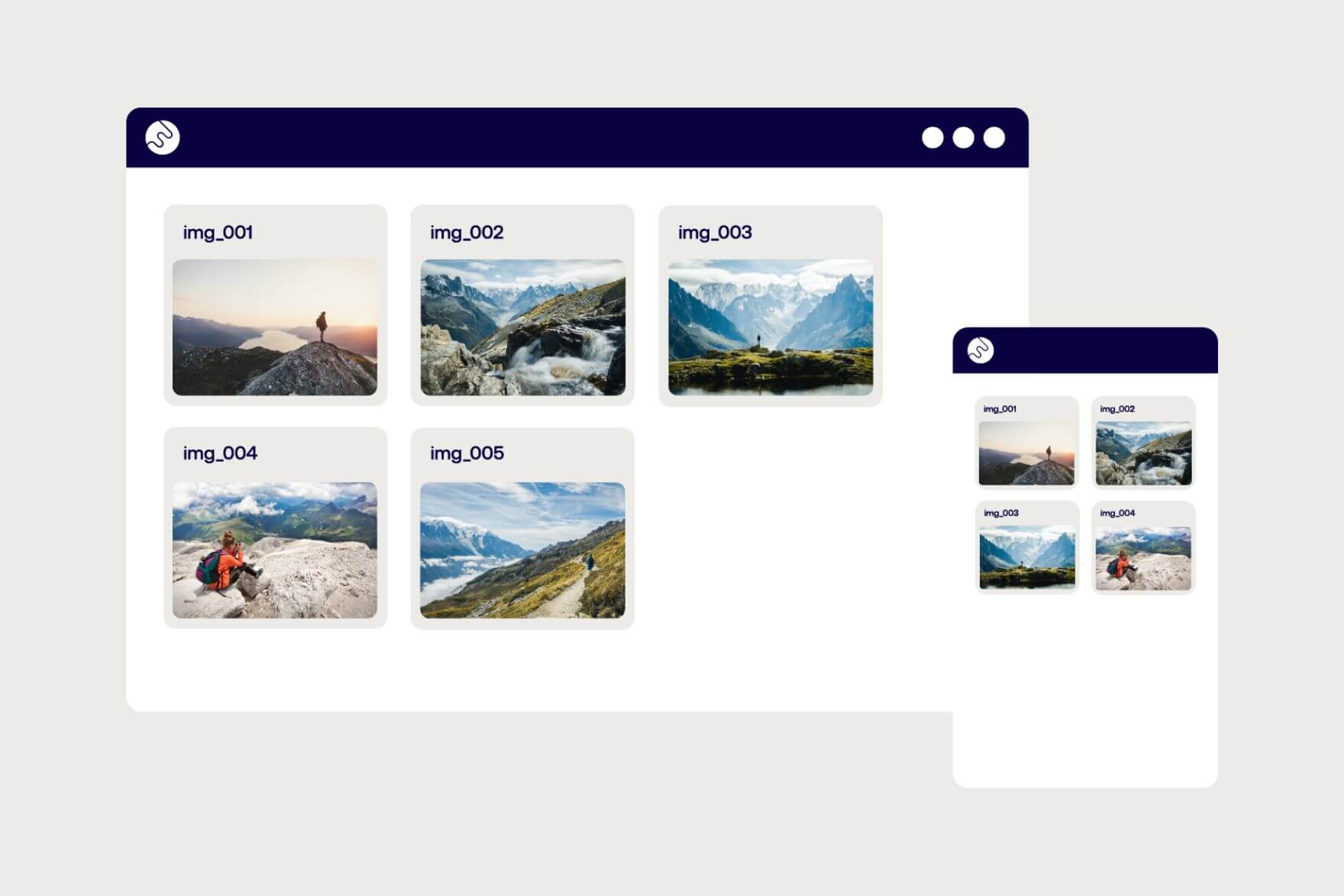 DAM browser and app