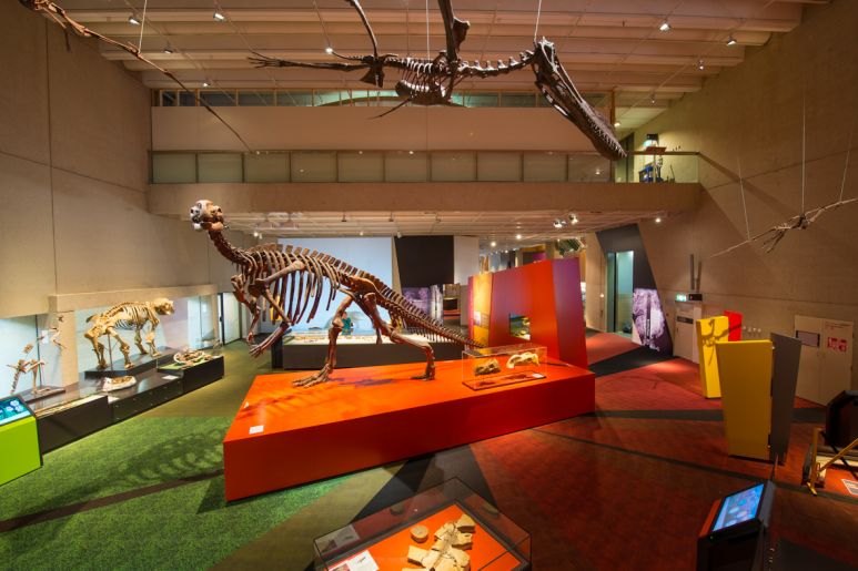 img-blog-feature-queensland museum-