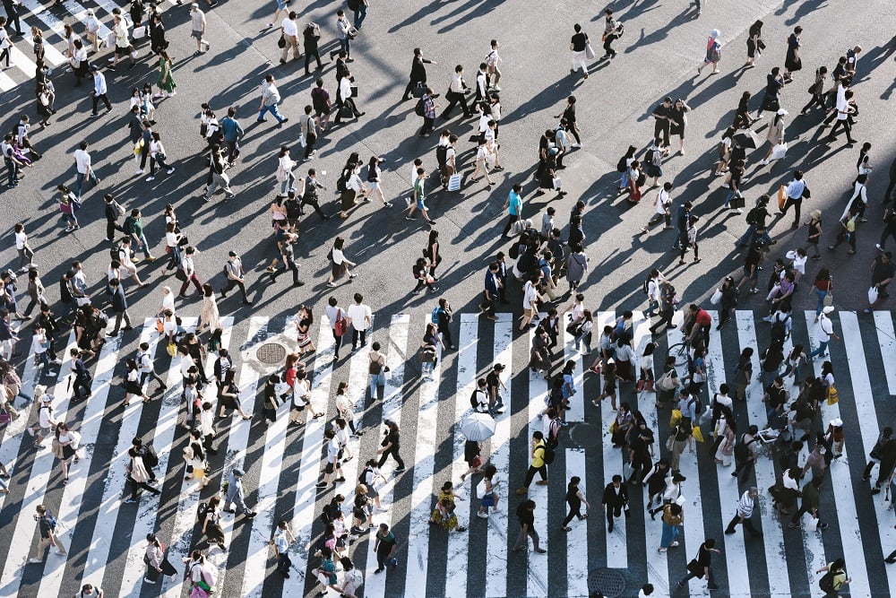 img-blog-ryoji-iwata-IBaVuZsJJTo-unsplash