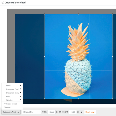 FotoWare interface - screenshot of download presets and preview image of a pineapple