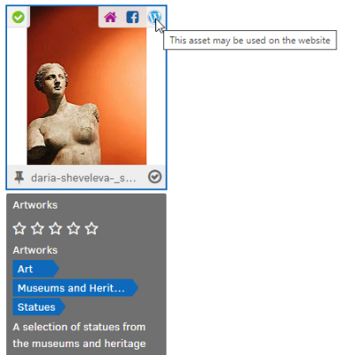 FotoWare interface - screenshot of marker indicating a asset status