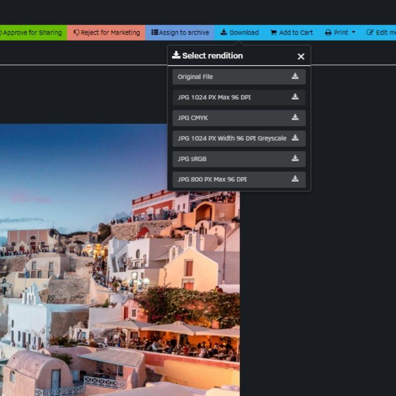 FotoWare interface showing rendition option drop down for download