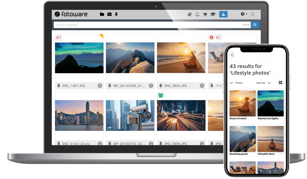 Photos from nature and travel displayed in a DAM interface on computer