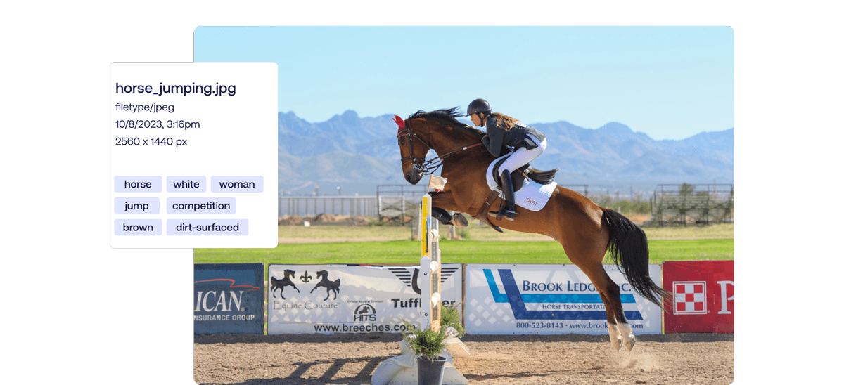 Horse rider and a horse jumping over an obstacle in an equestrian competition, with metadata tags and file details displayed on the image.