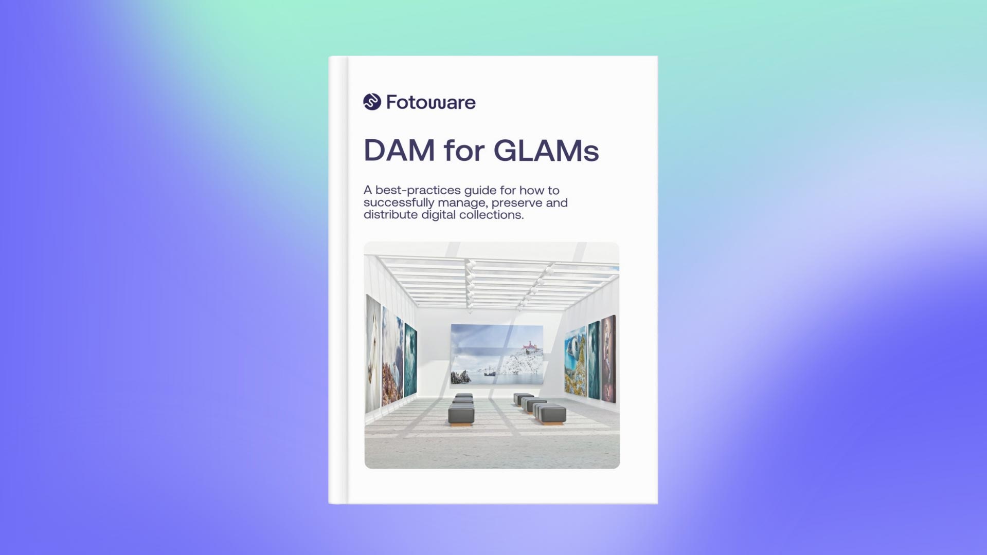 dam-for-glams- buide