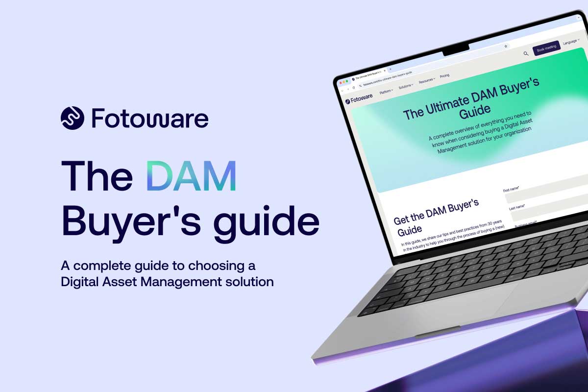 dam-buyers-guide-2025